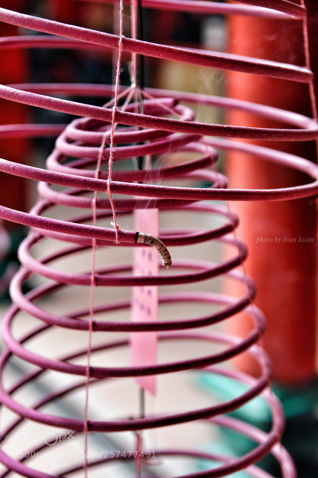 Nikon D7100 sample photo. Wish everyone in good photography