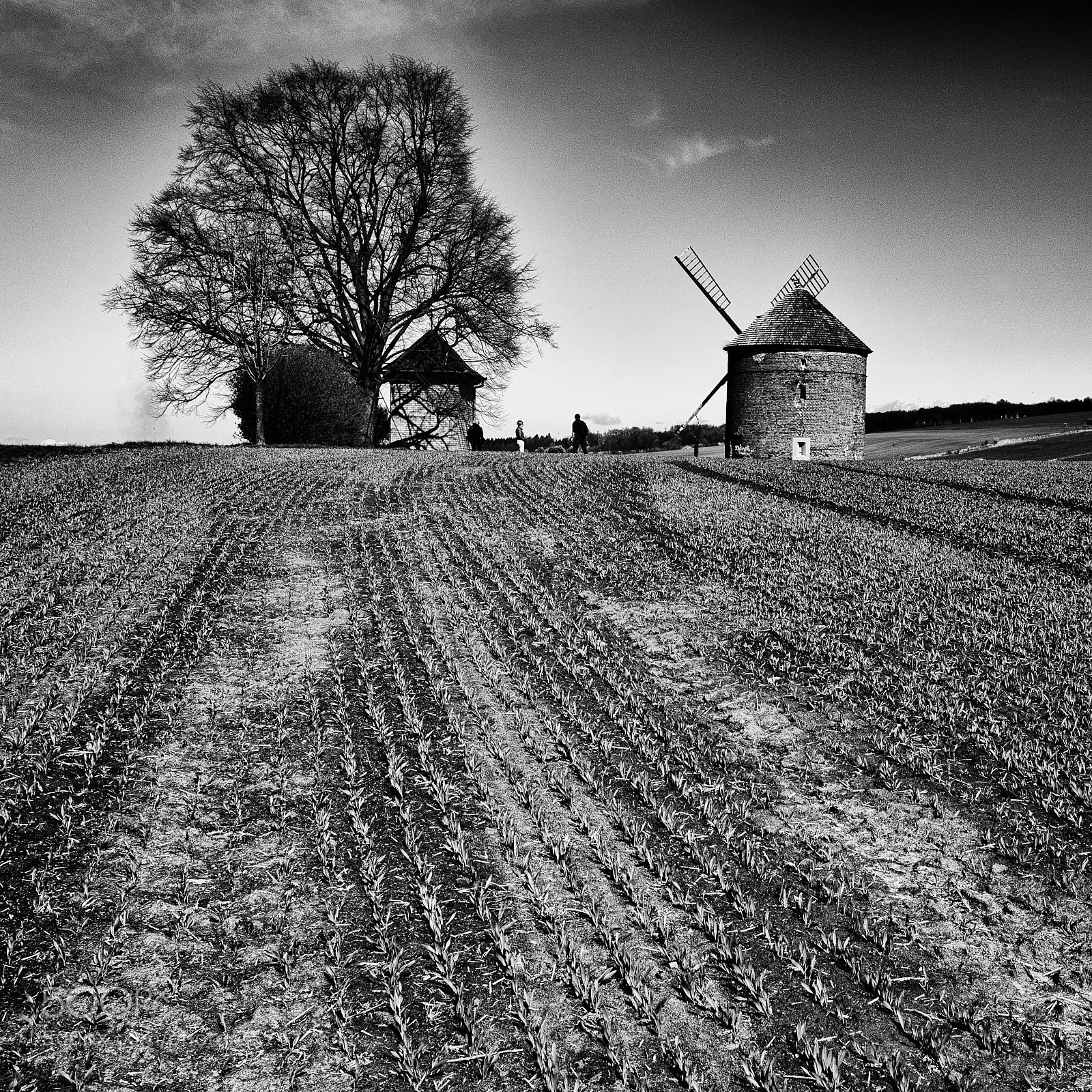 Nikon D610 sample photo. Black and white photography