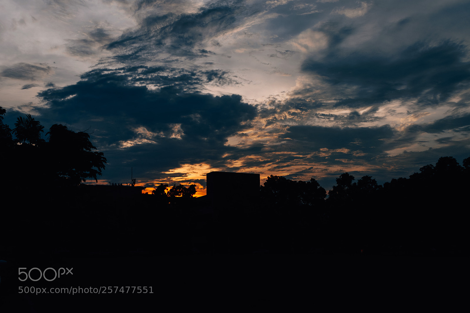 Nikon D5000 sample photo. Silhouette at sunset photography