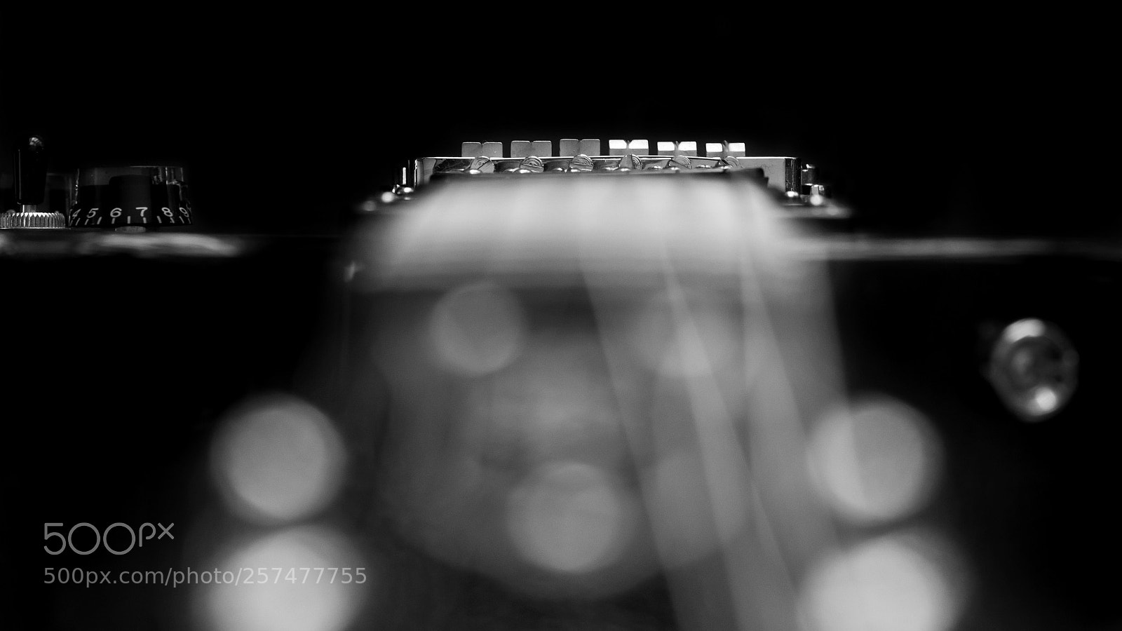 Nikon D810 sample photo. Untitled photography