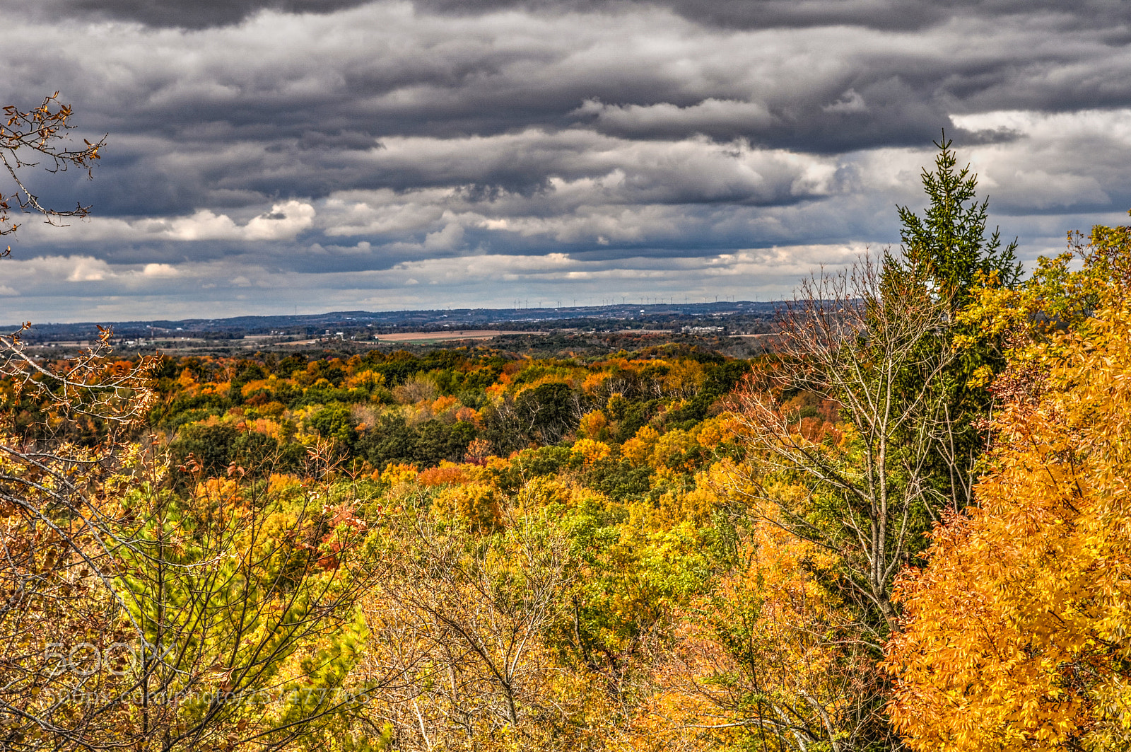 Nikon D5000 sample photo. Wisconsin fall landscape #1 photography