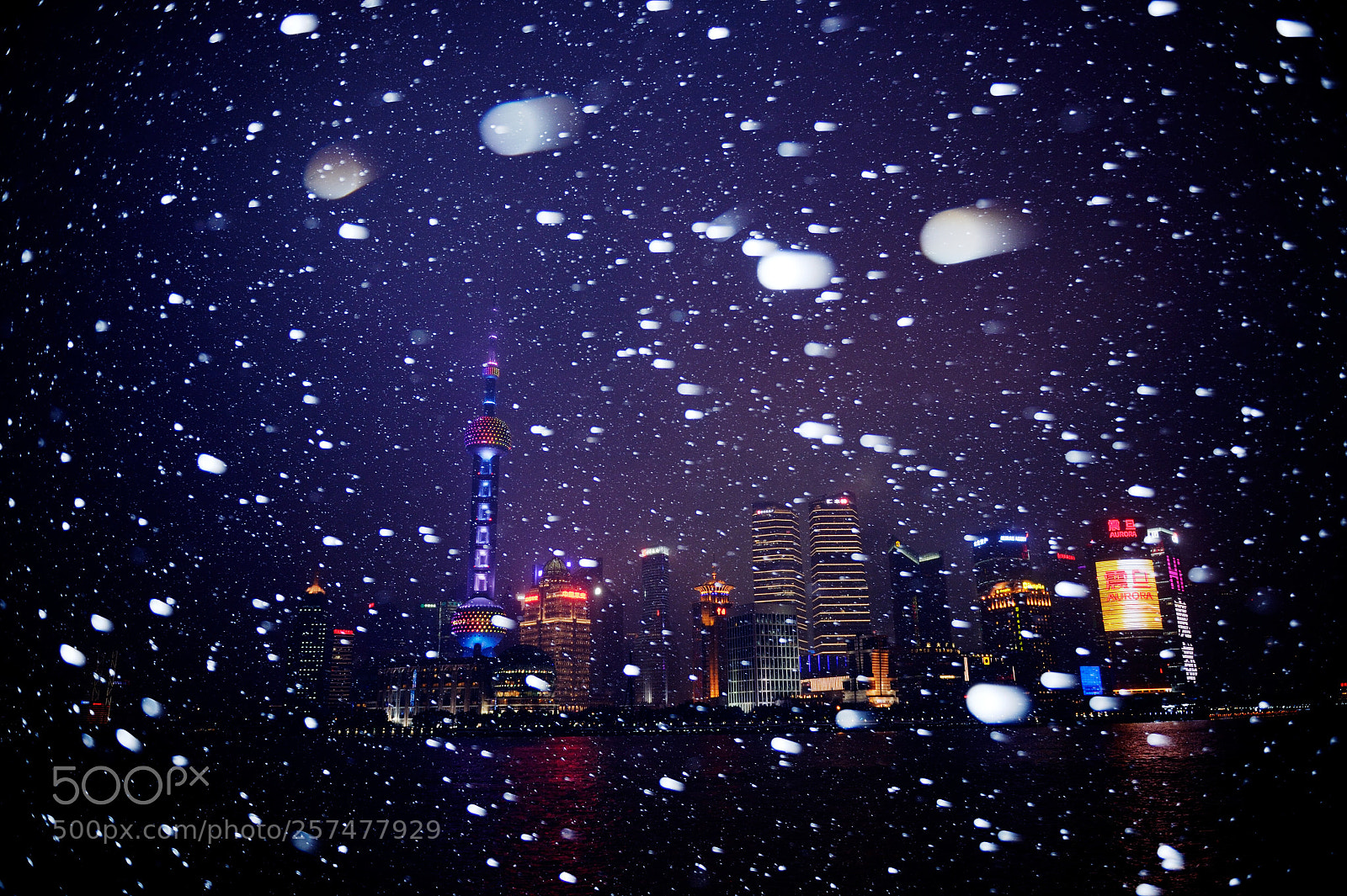 Nikon Df sample photo. Winter in shanghai photography