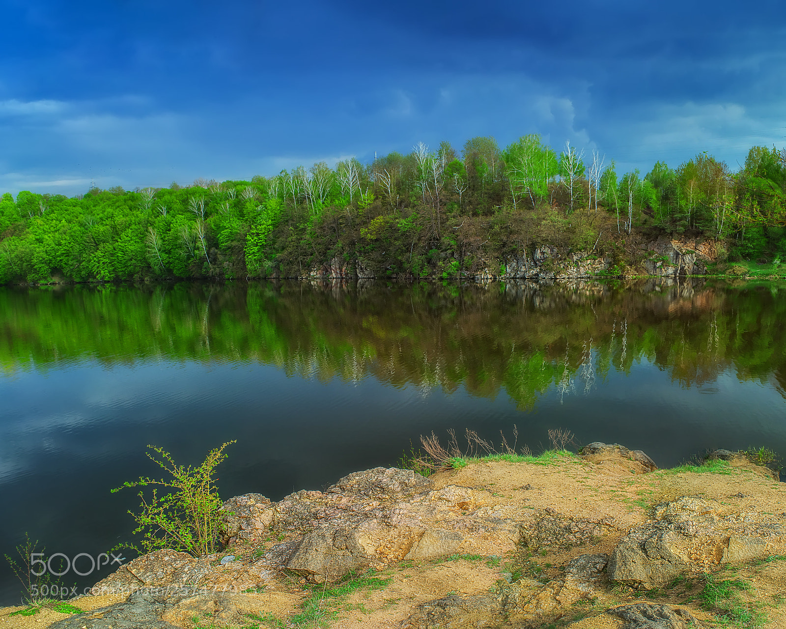 Nikon D800E sample photo. Silence photography