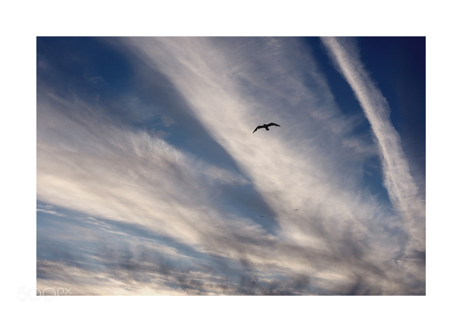 Nikon D7200 sample photo. Dover sky photography