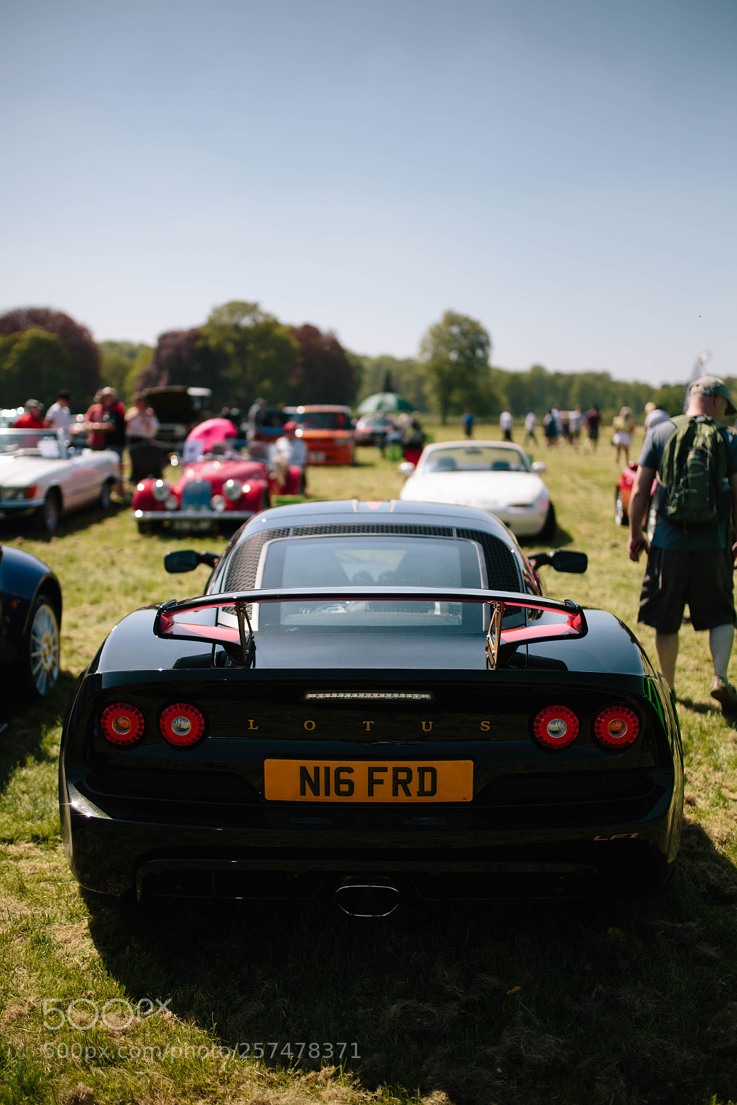 Canon EOS 6D sample photo. Lotus photography