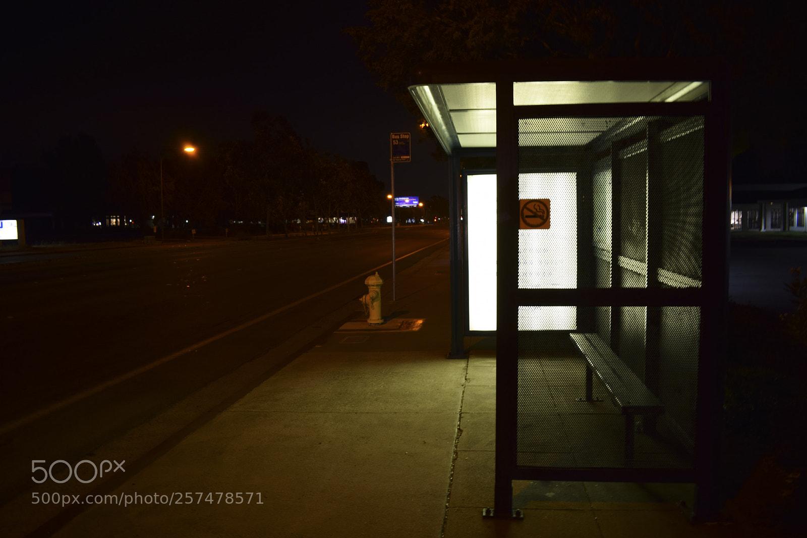 Nikon D5300 sample photo. Image copy photography