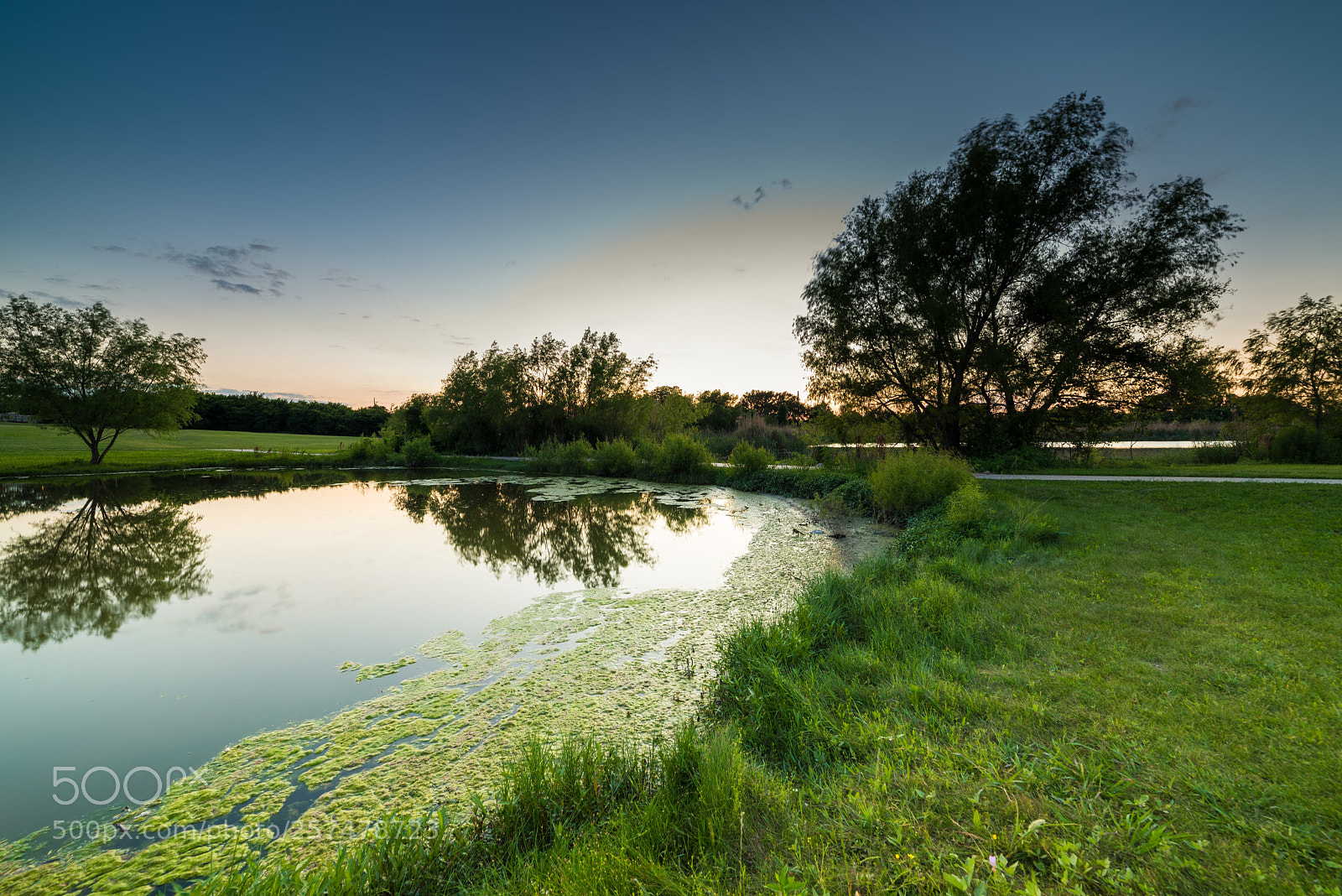 Nikon D750 sample photo. Evening view of hutto photography