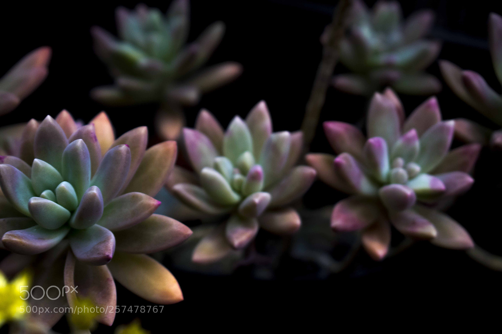 Nikon D5300 sample photo. 19.jpg photography