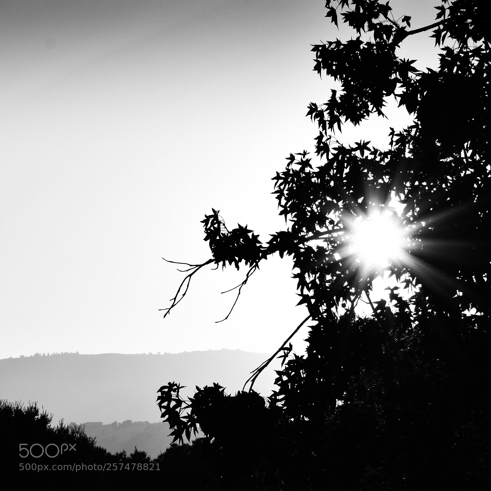 Nikon D5300 sample photo. Edited photography