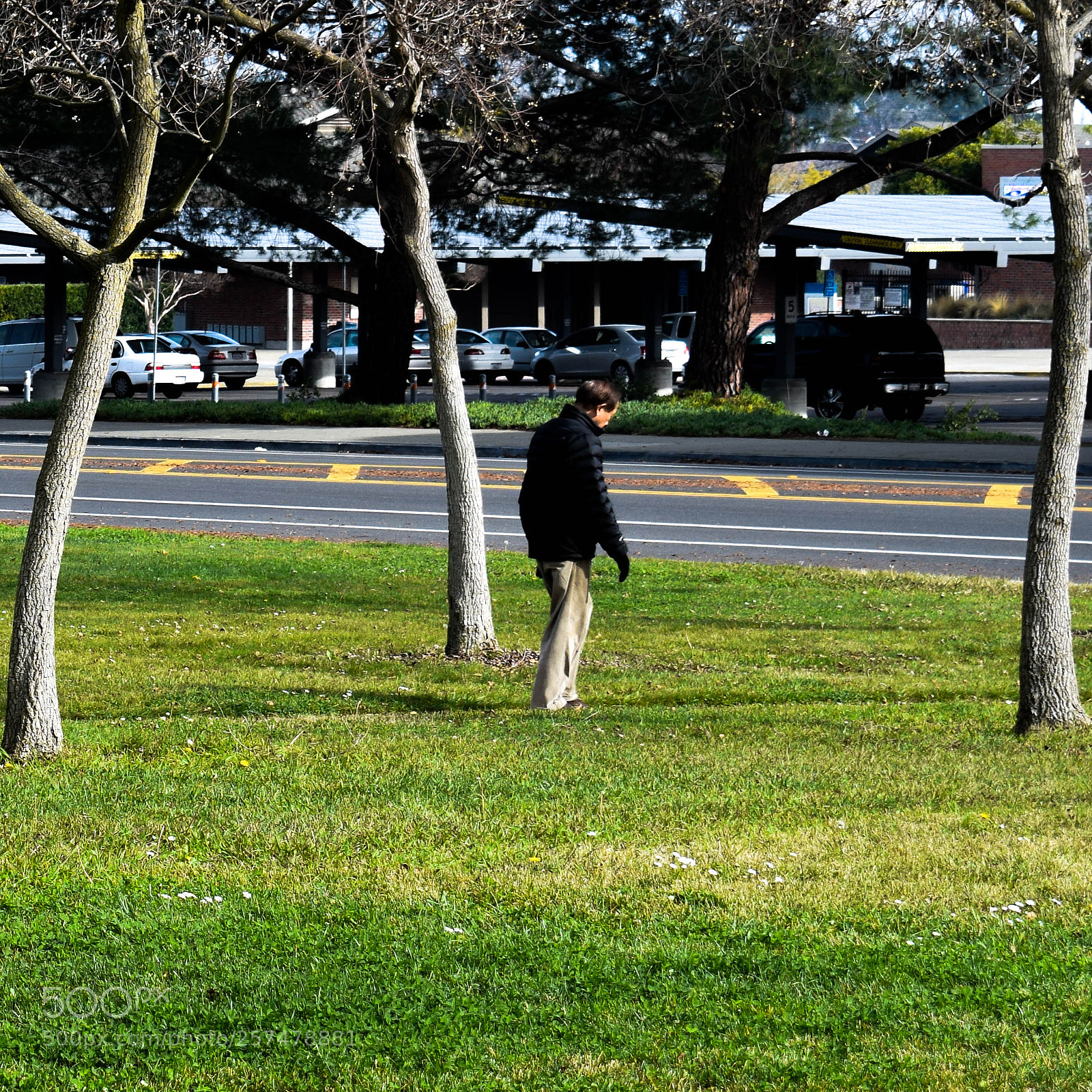 Nikon D5300 sample photo. Street photography