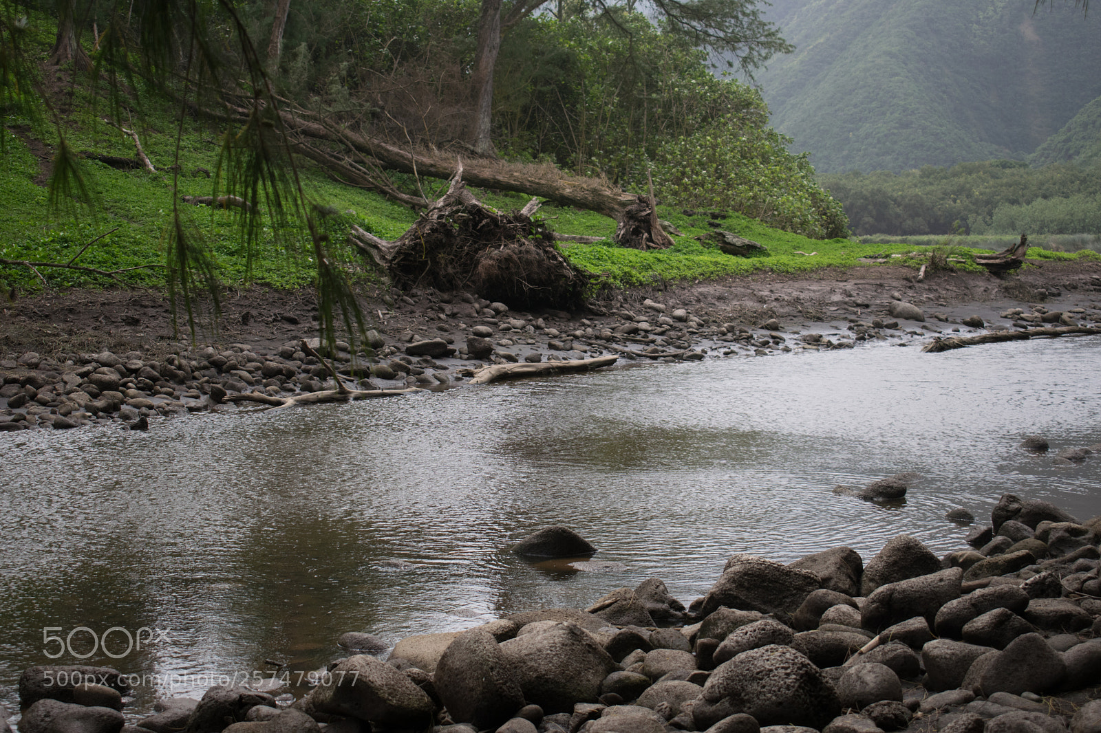 Nikon D5300 sample photo. Landscape photography
