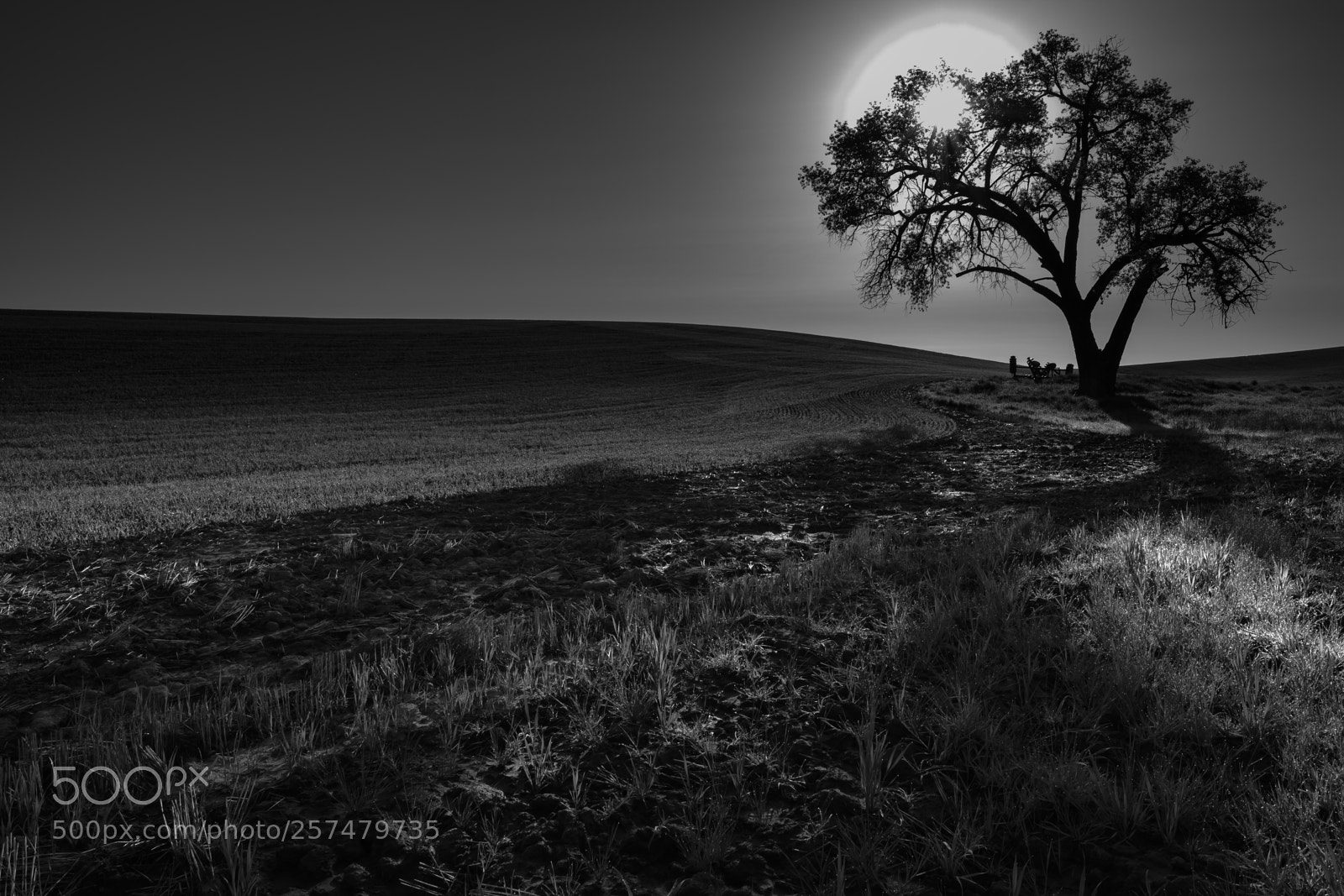 Fujifilm X-Pro2 sample photo. Palouse #7 photography