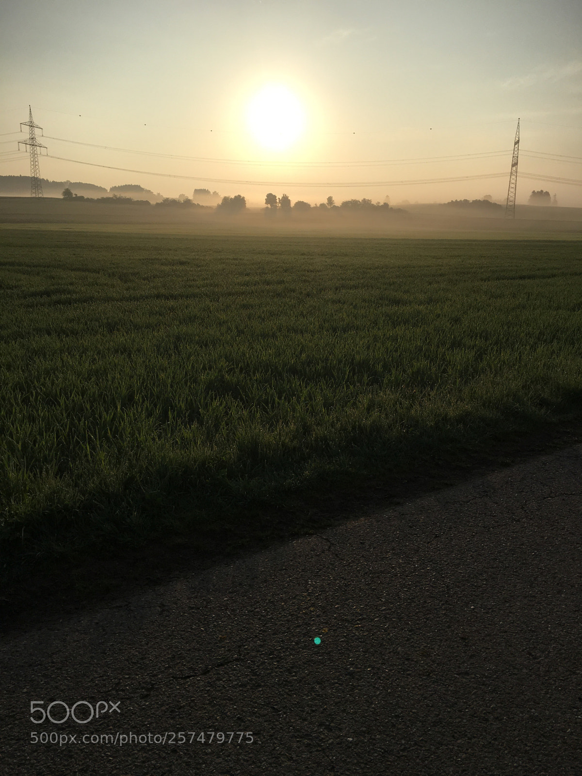 Apple iPhone 6s sample photo. Seiltanz photography