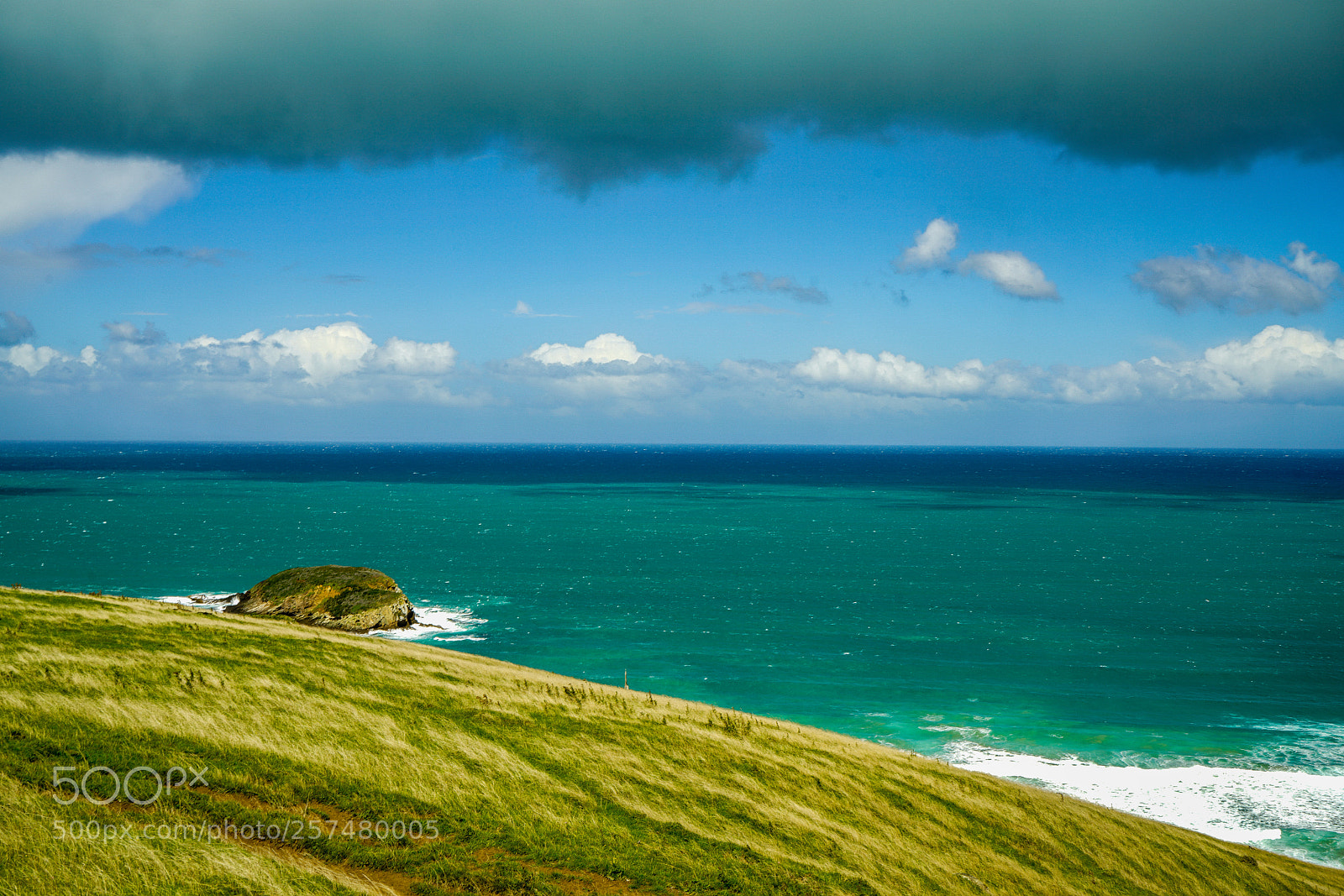 Sony a7R II sample photo. New zealand's blue photography