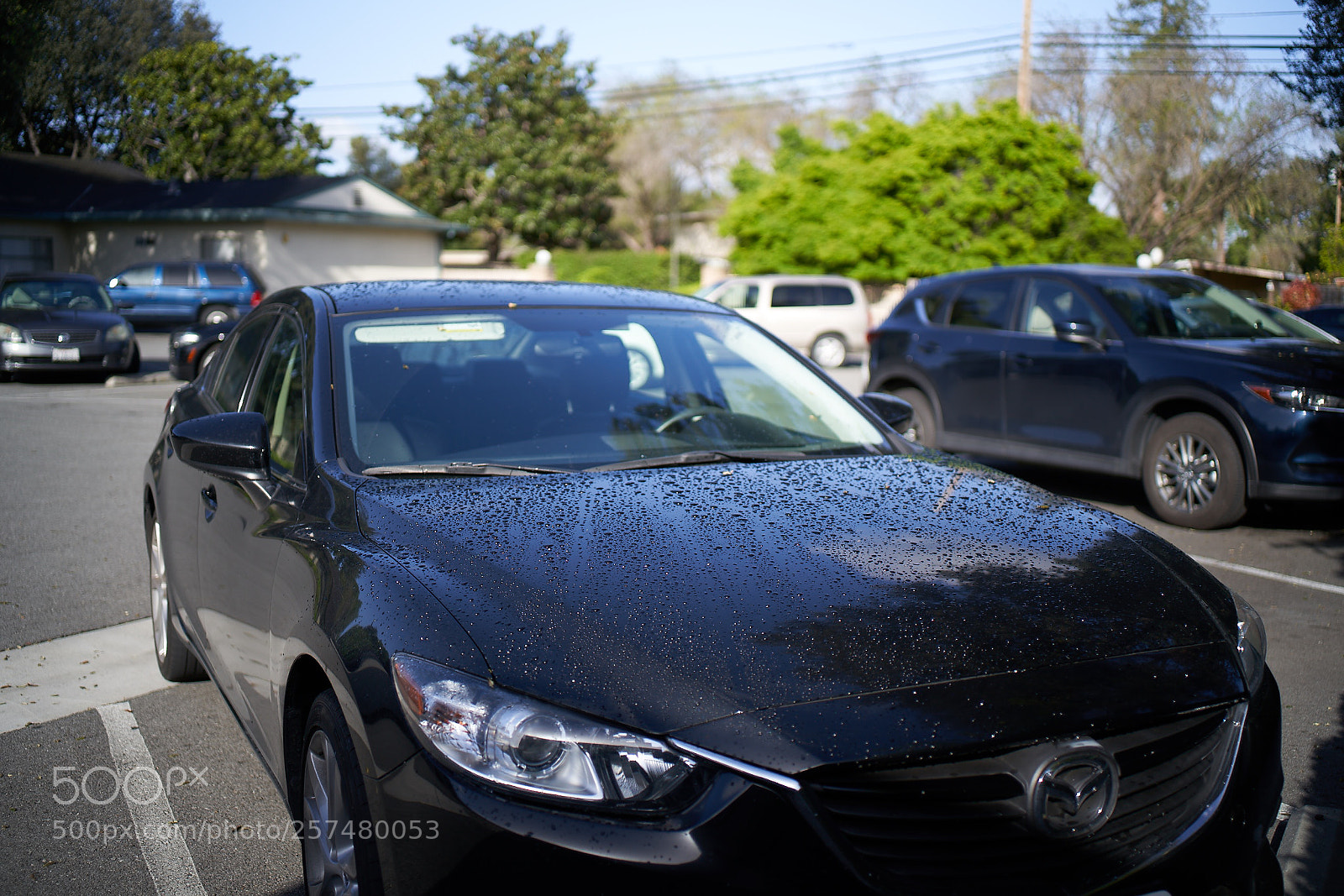 Sony a7R III sample photo. Dsc photography