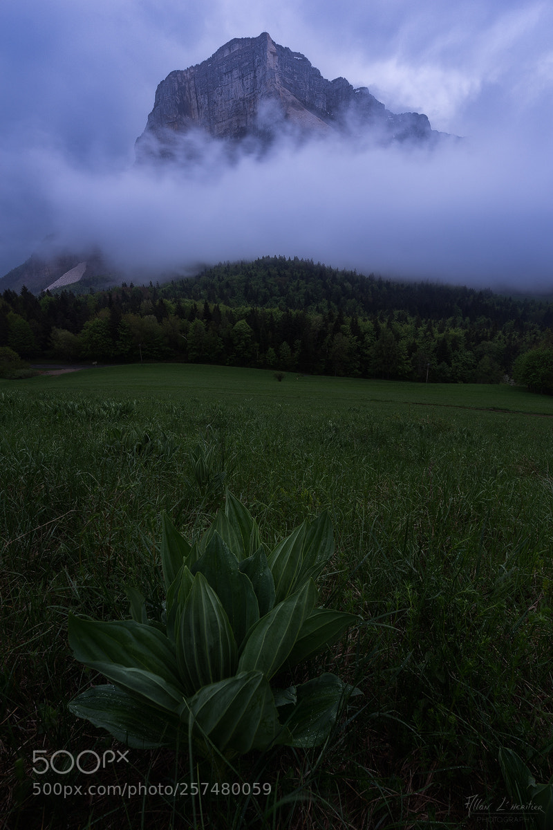 Sony a7R sample photo. Granier photography