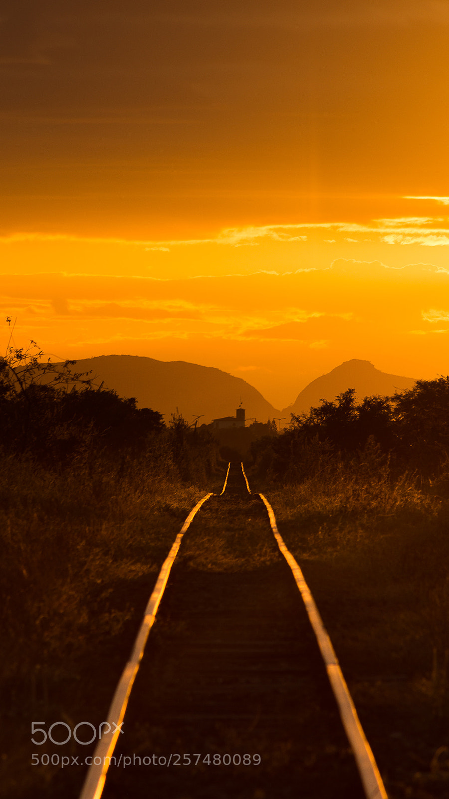 Nikon D7200 sample photo. Last rails photography