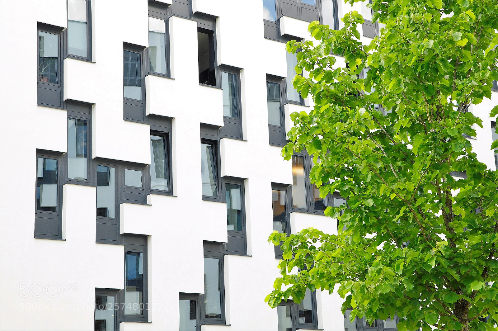 Nikon D90 sample photo. Natur gegen stadt? photography