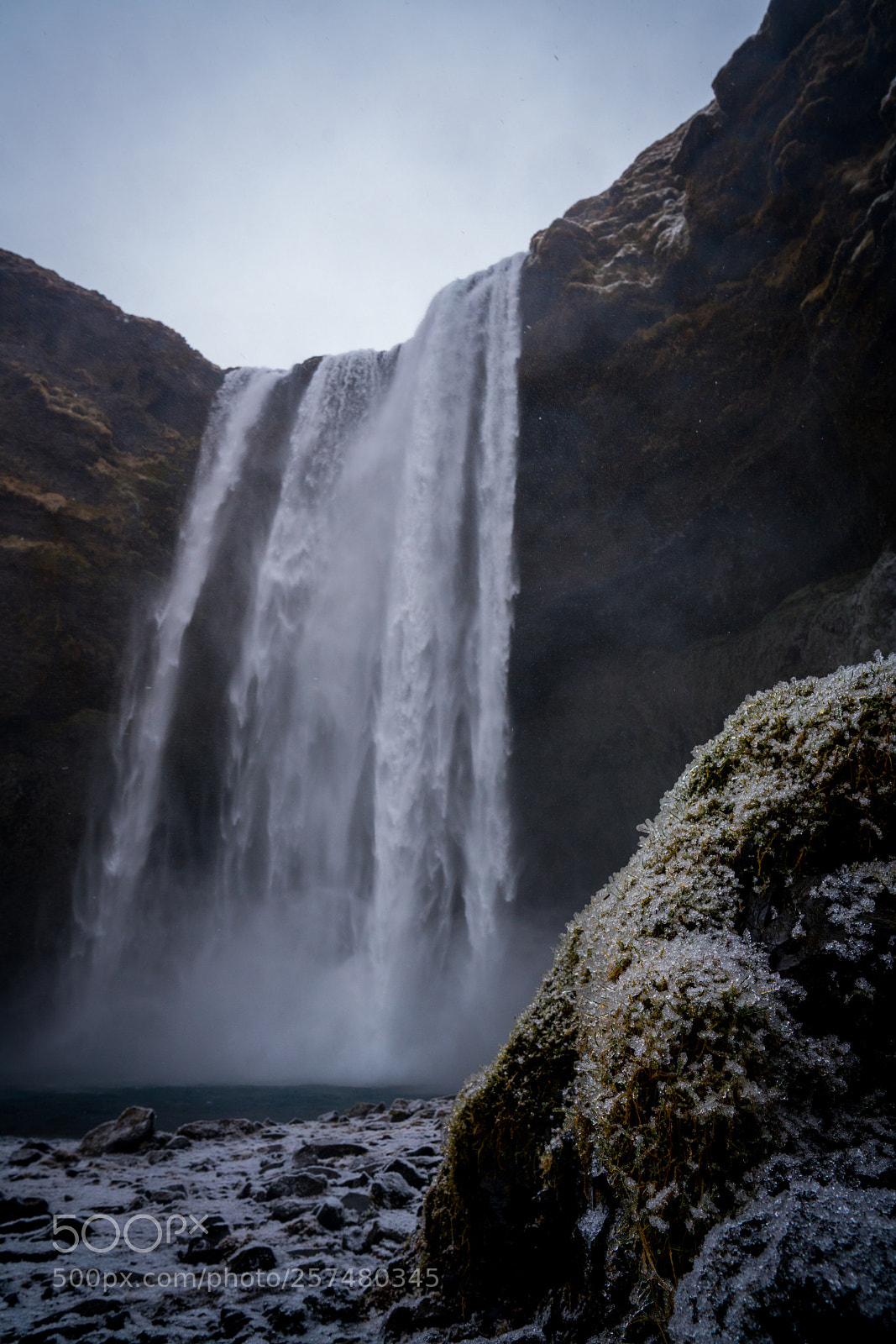 Sony a7R II sample photo. Water frost photography