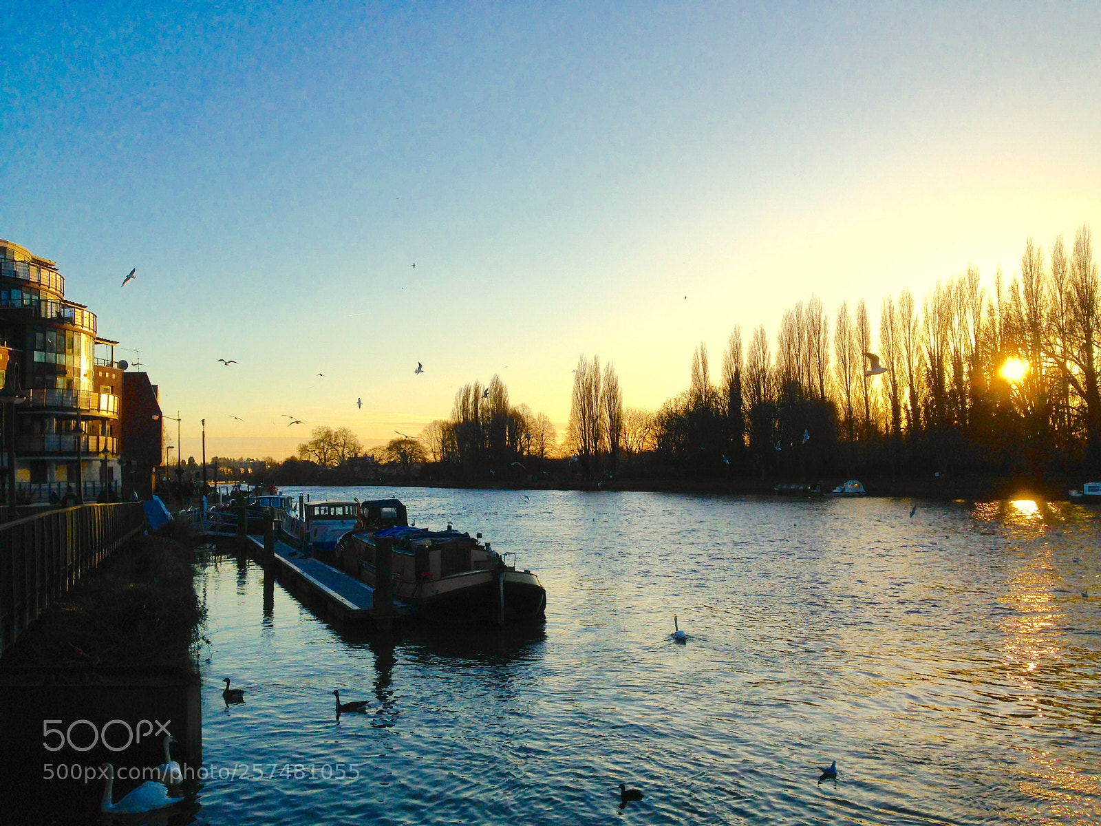 Apple iPhone 5c sample photo. Kingston riverside photography