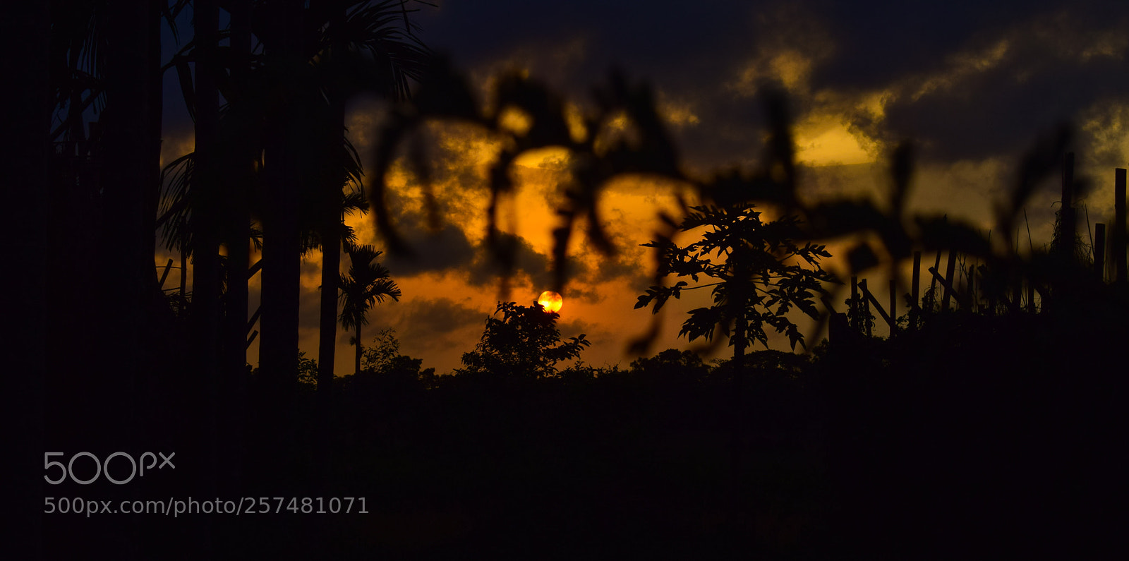 Nikon D3300 sample photo. Sunset photography