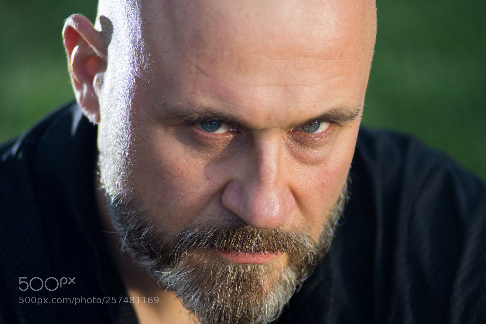 Nikon D7200 sample photo. ### photography