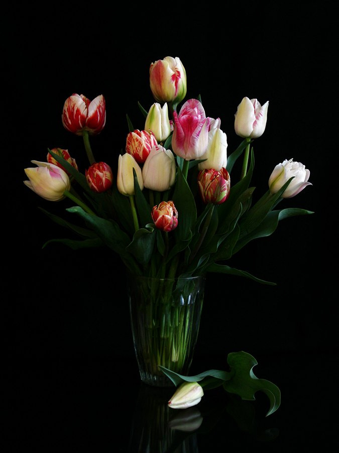 Canon PowerShot A3000 IS sample photo. White tulips photography