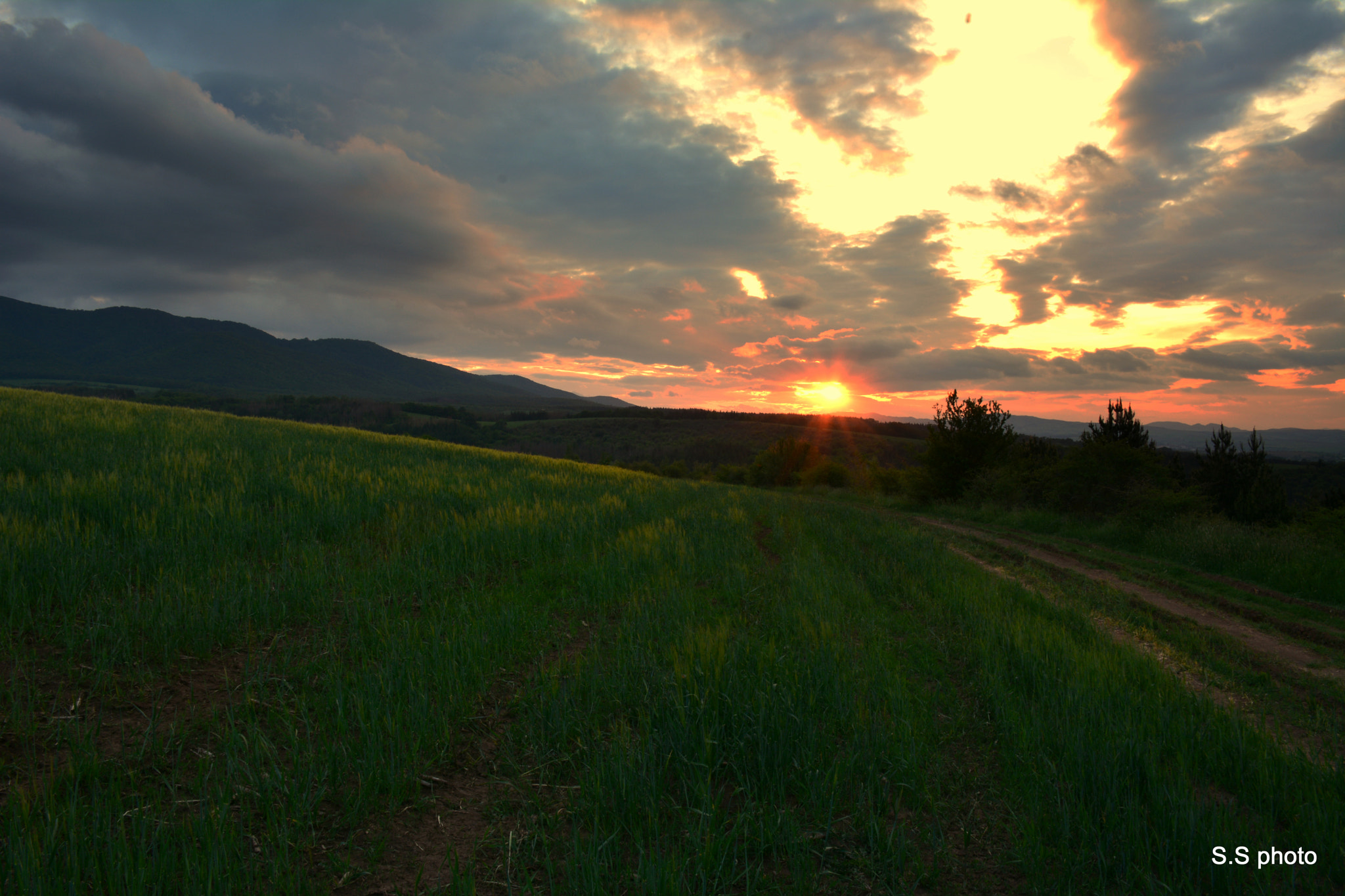 Nikon D7100 sample photo