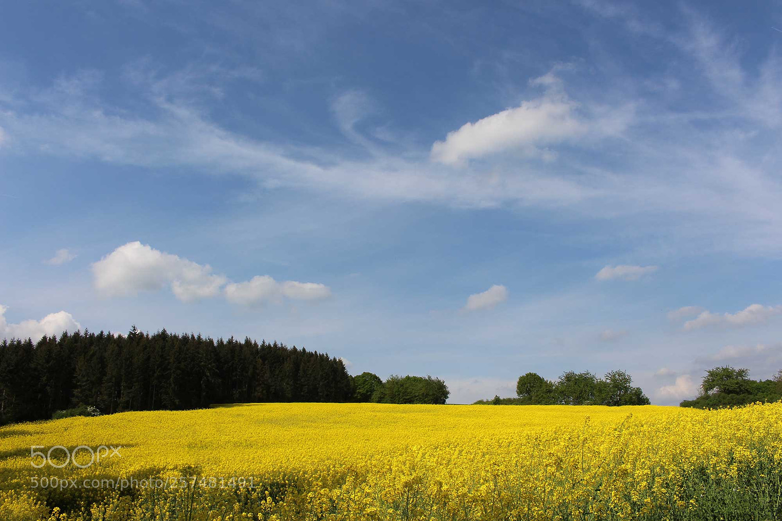 Canon EOS 700D (EOS Rebel T5i / EOS Kiss X7i) sample photo. Landscape photography