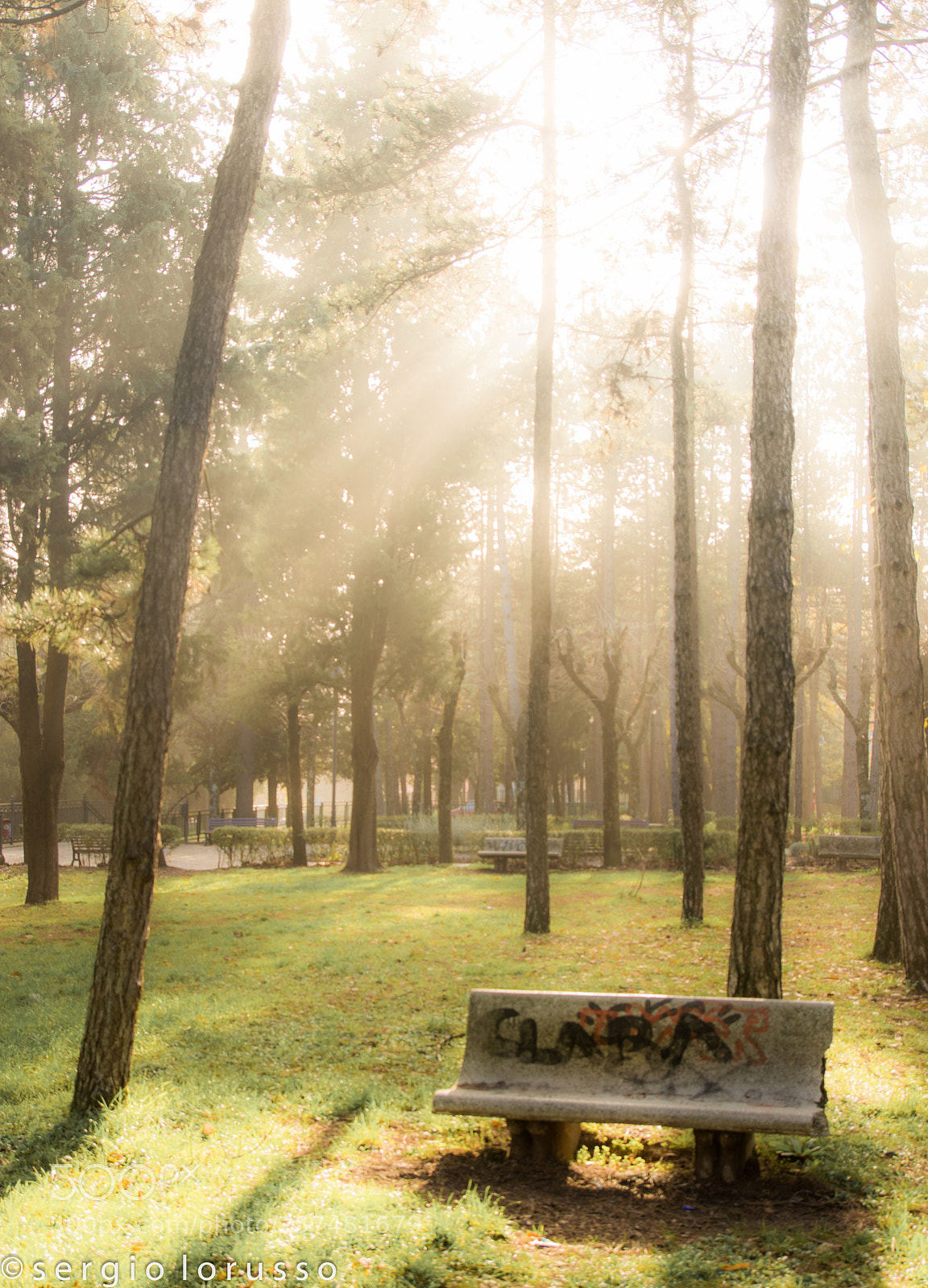 Nikon D3200 sample photo. E intanto il sole photography