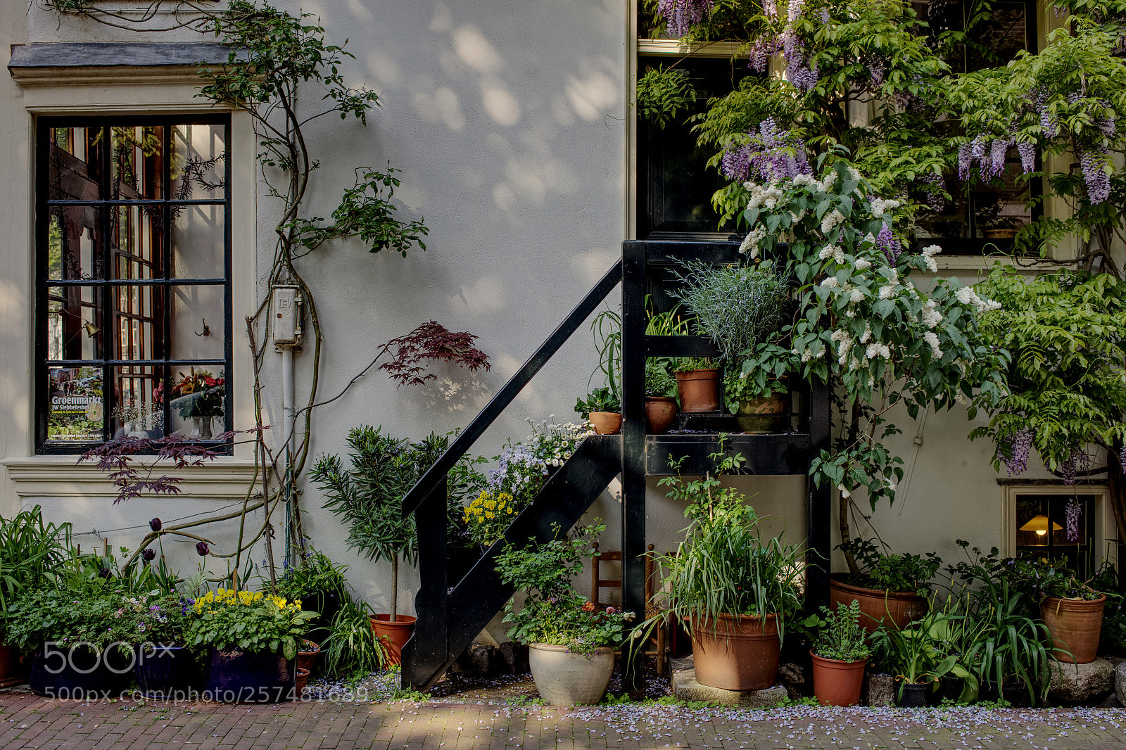 Canon EOS 5D Mark II sample photo. Amsterdam street garden photography