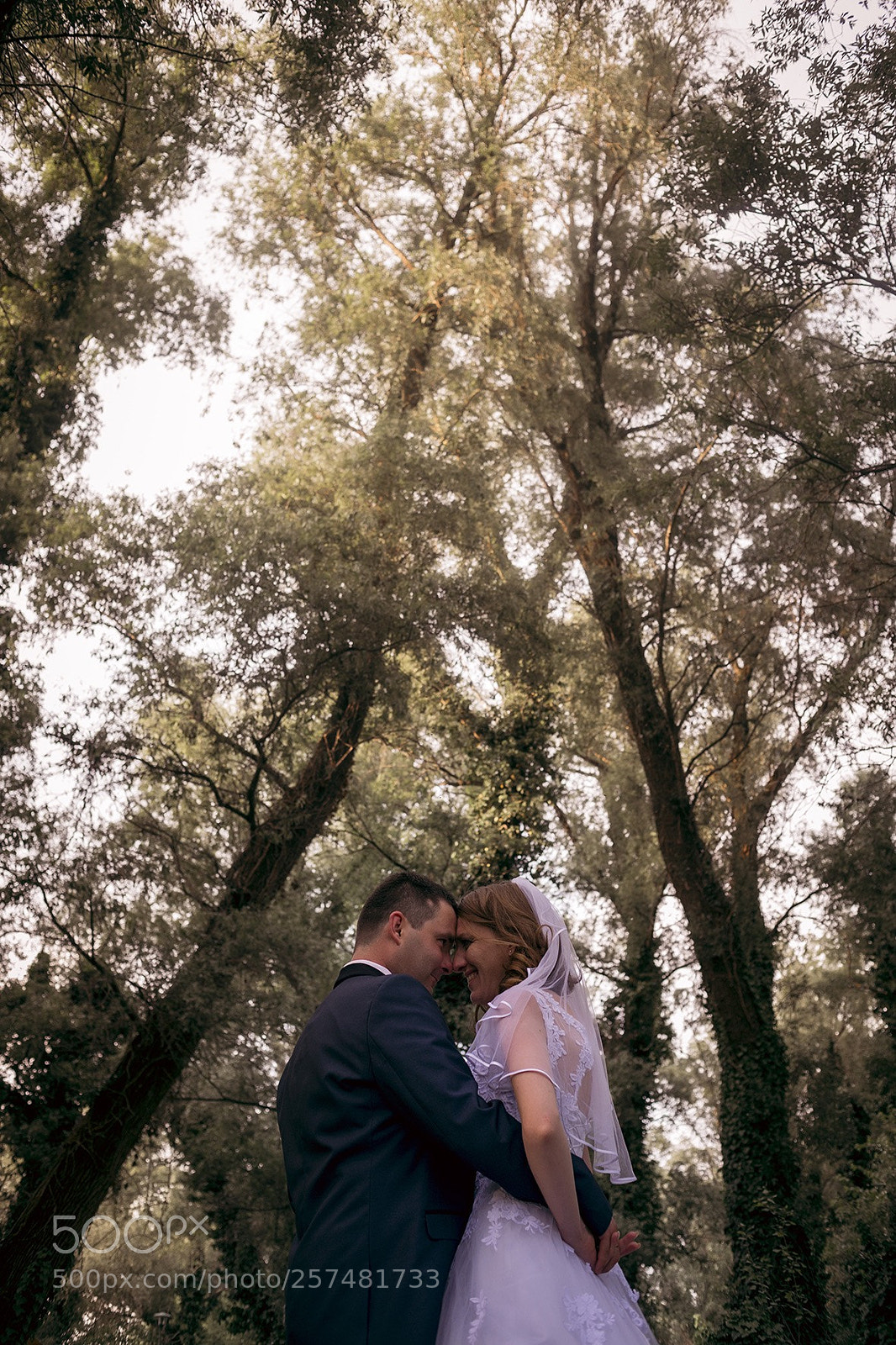 Canon EOS 6D sample photo. Wedding 6 photography