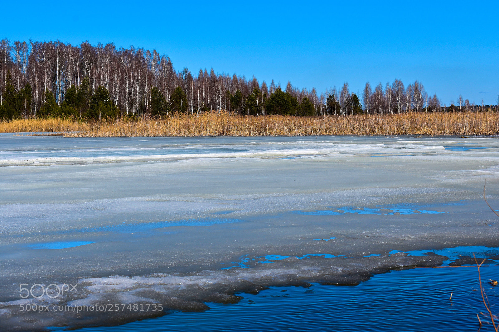Nikon D3400 sample photo. Лед тронулся photography