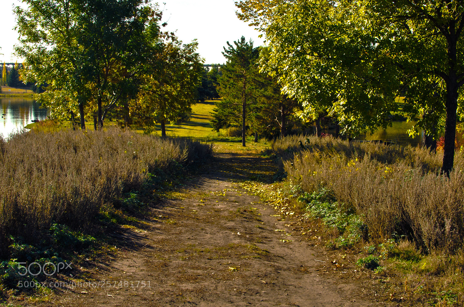 Nikon D7000 sample photo. Just walkin by fufate photography