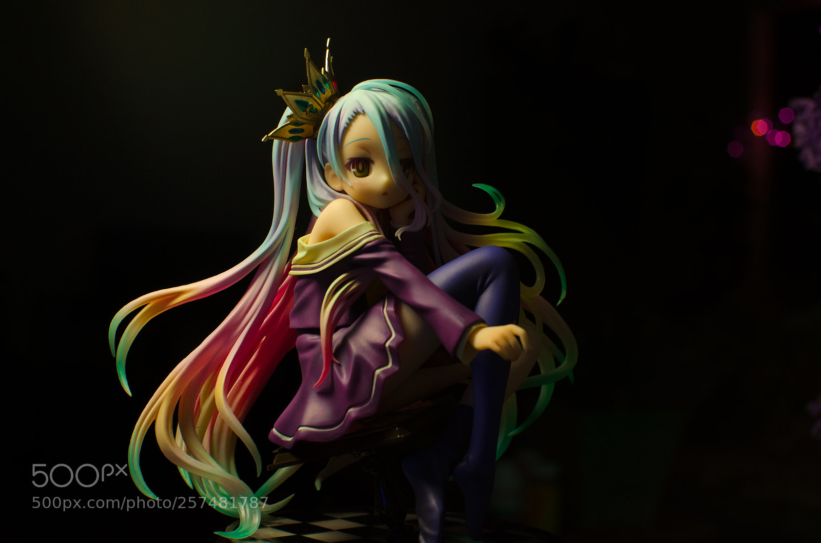 Nikon D7000 sample photo. Shiro by fufate djf photography