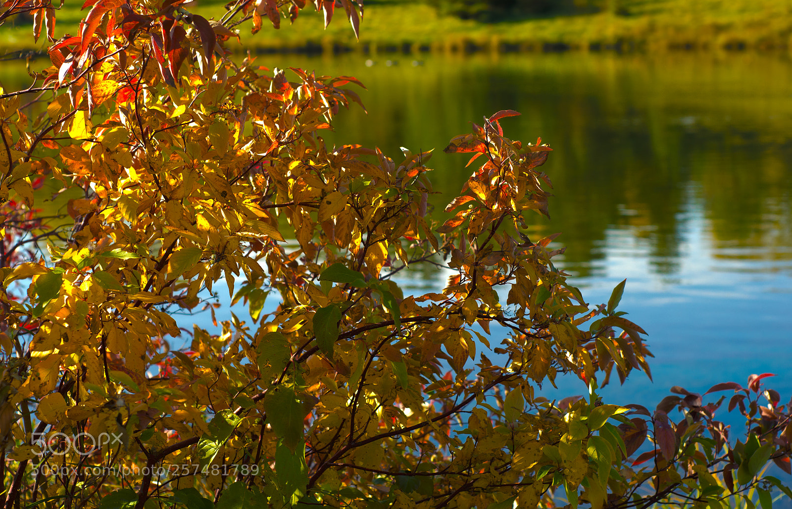 Nikon D7000 sample photo. Pond by fufate dqfff photography