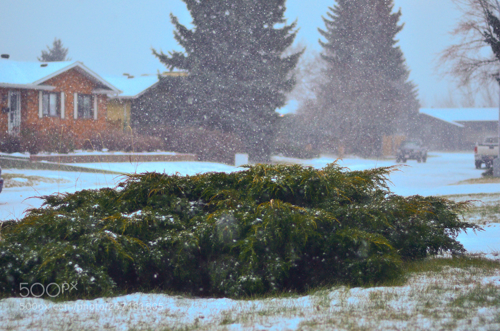 Nikon D7000 sample photo. Winter by fufate daqoje photography