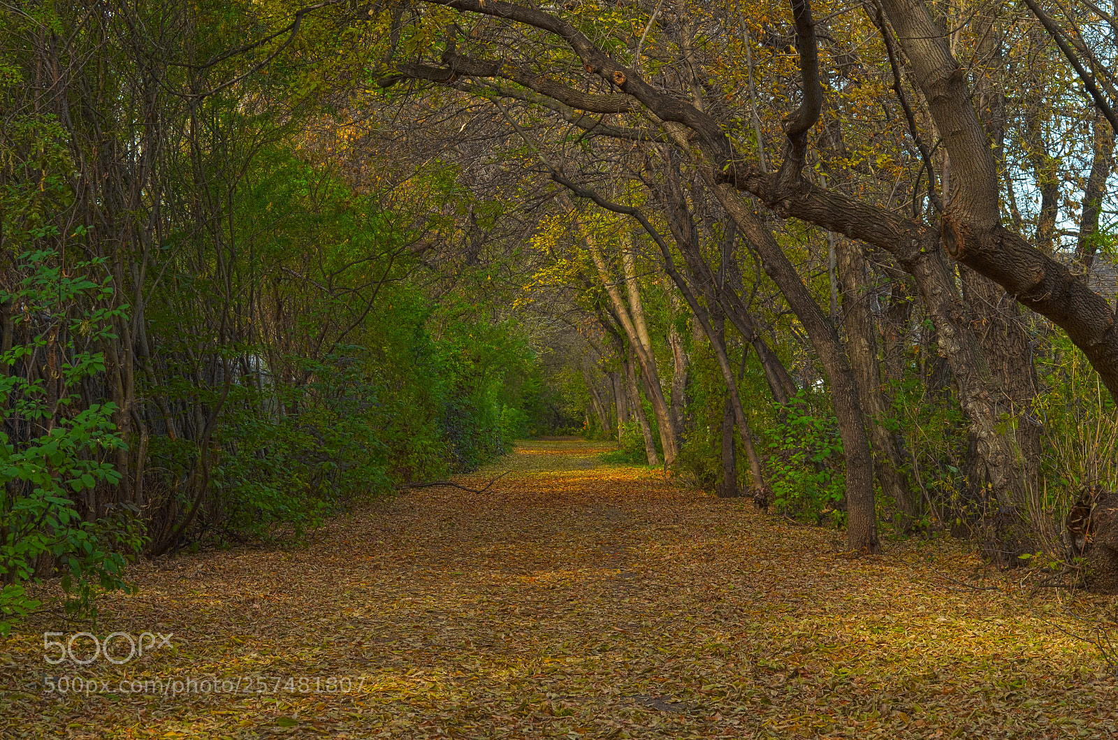 Nikon D7000 sample photo. What s at the photography