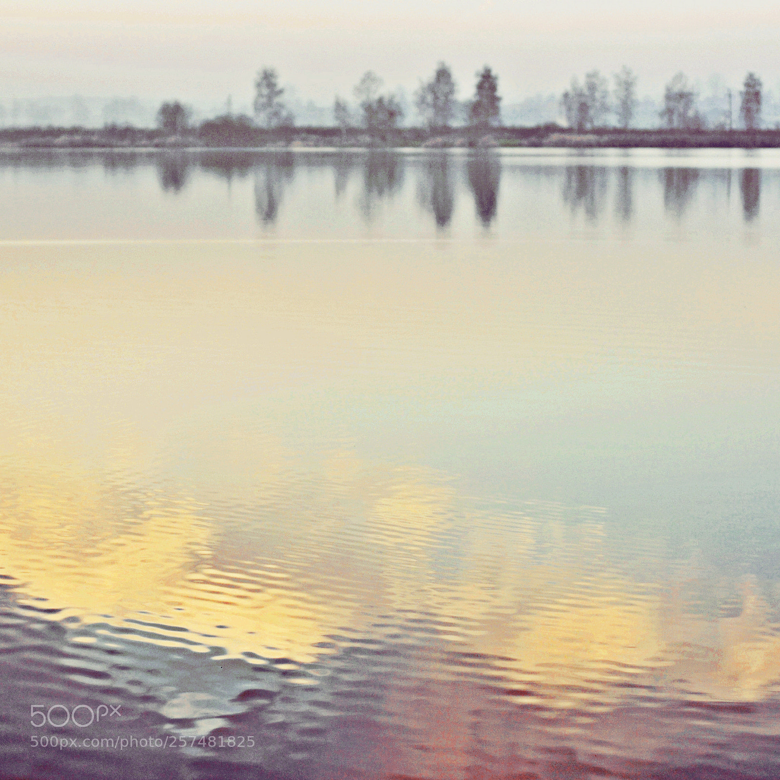 Nikon D300S sample photo. Untitled photography