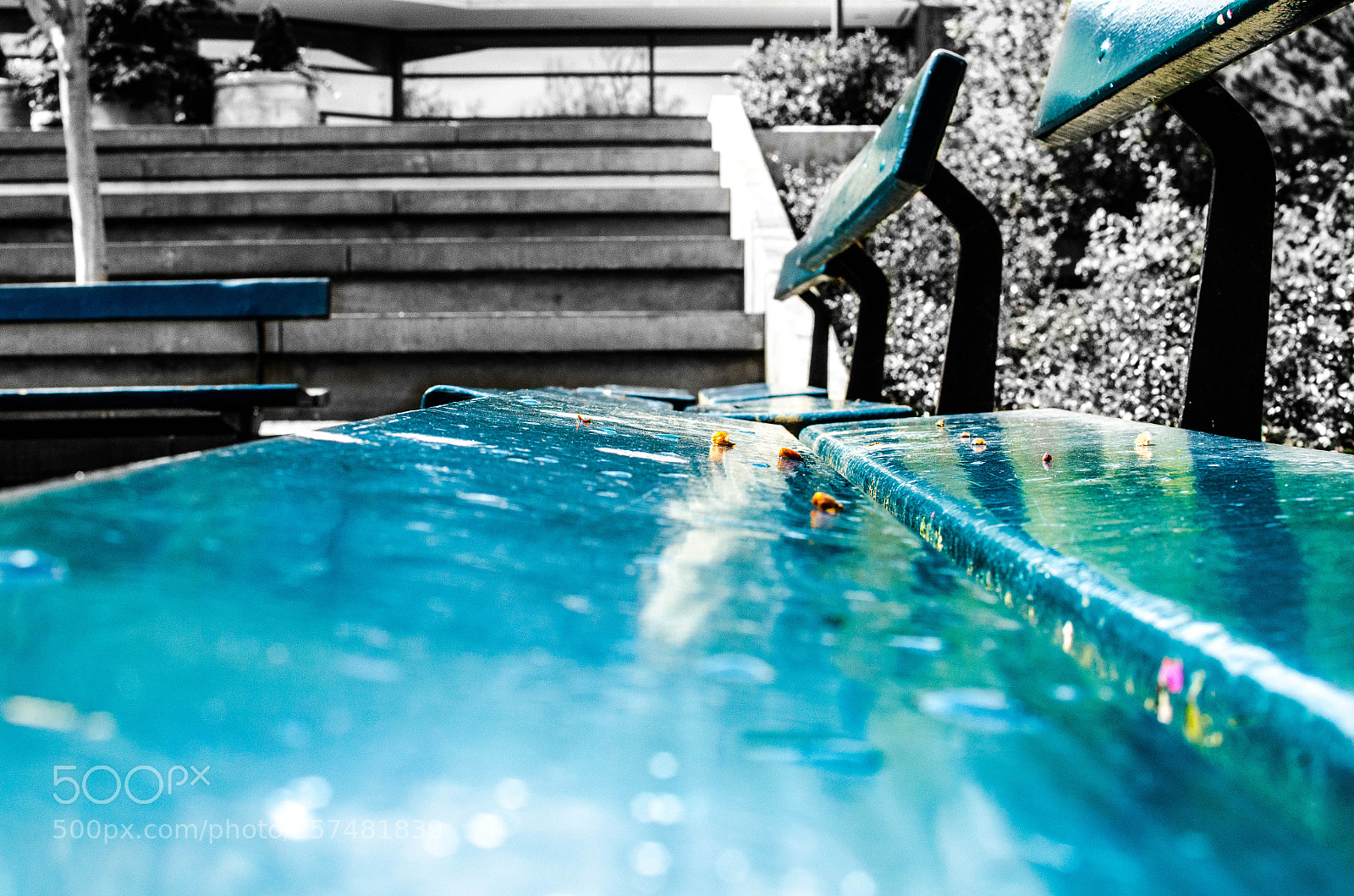 Nikon D7000 sample photo. Bench by fufate dbjrlw photography