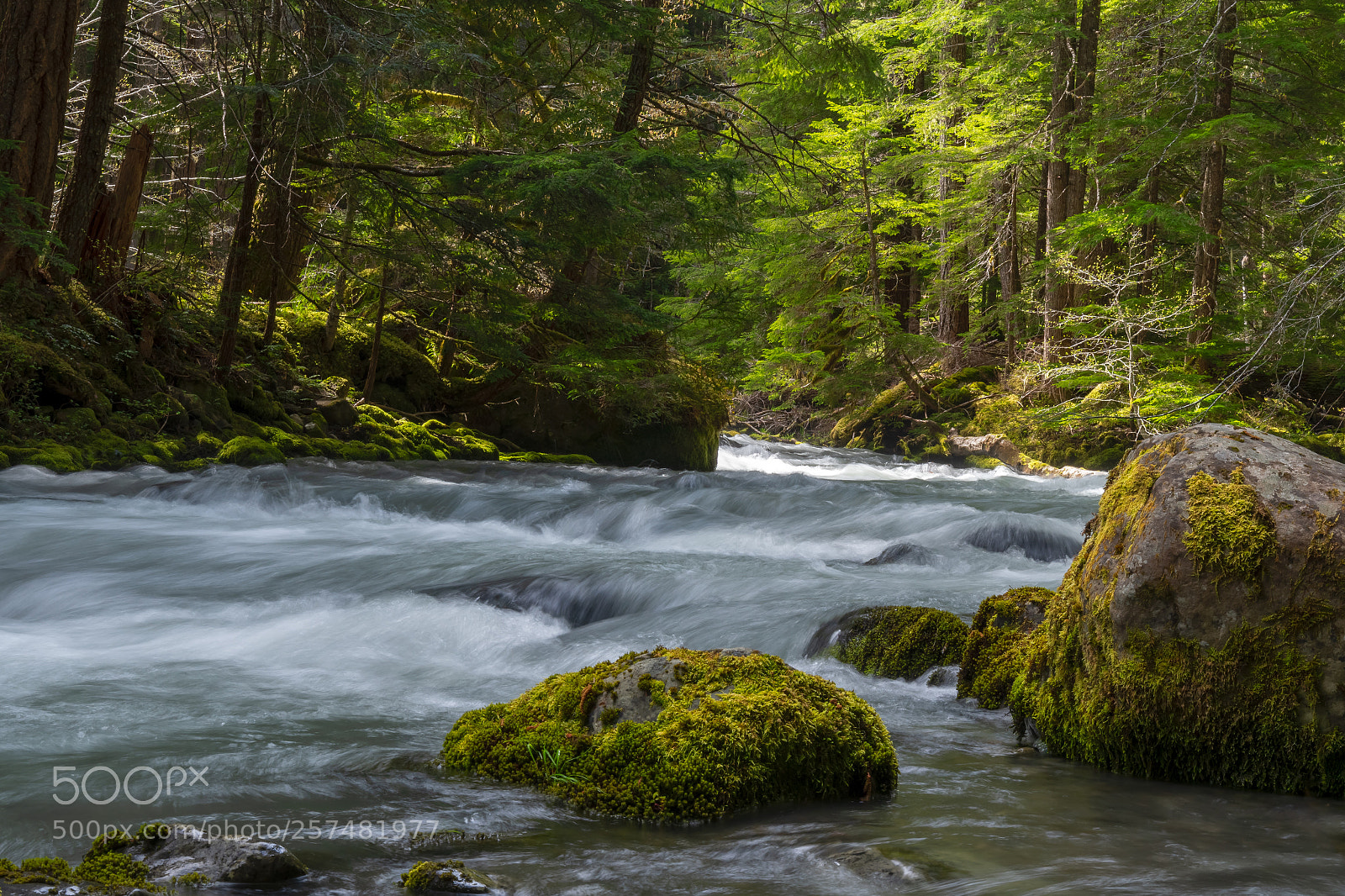 Nikon D500 sample photo. Dungeness river photography