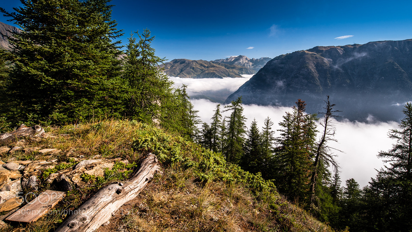 Nikon D750 sample photo. Over the clouds photography