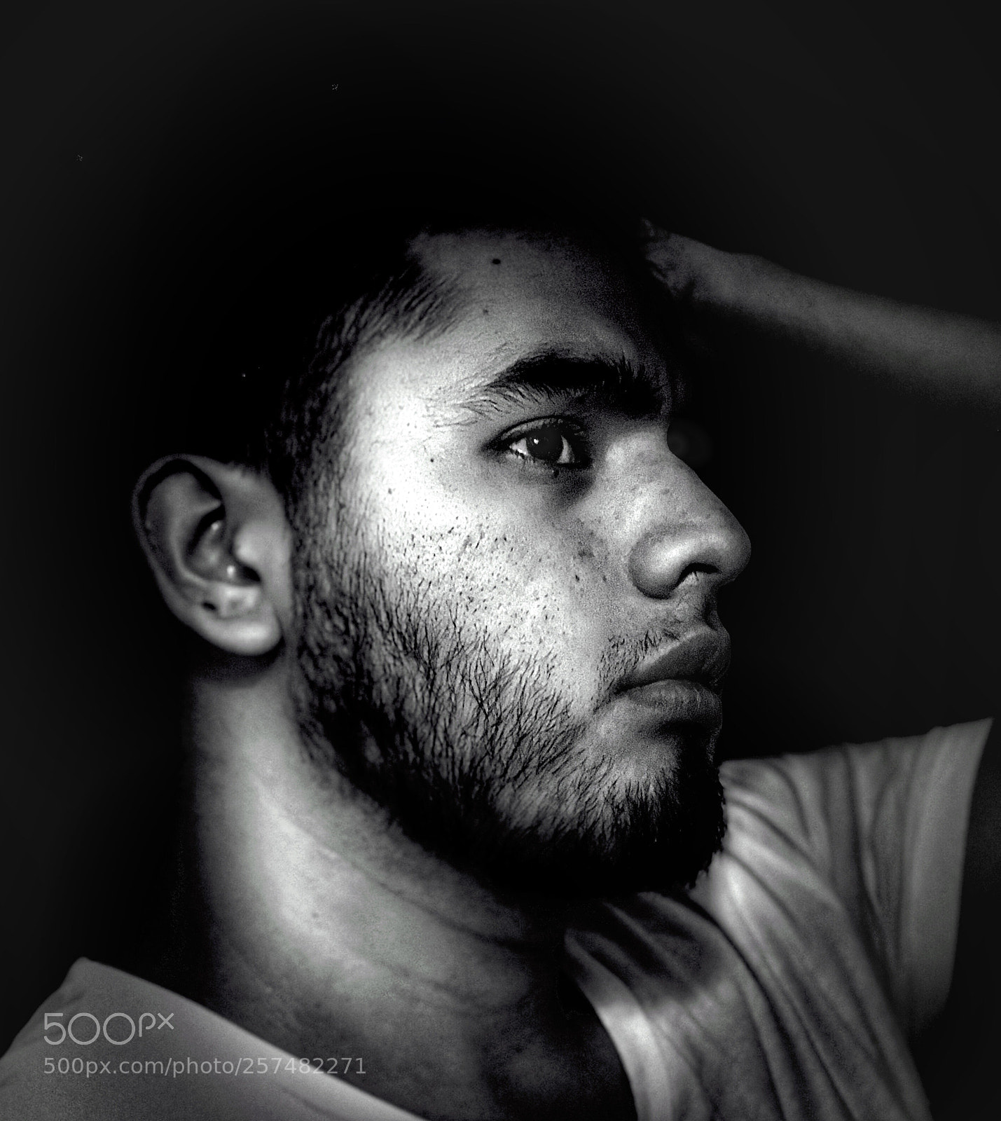 Apple iPhone 8 Plus sample photo. Untitled photography