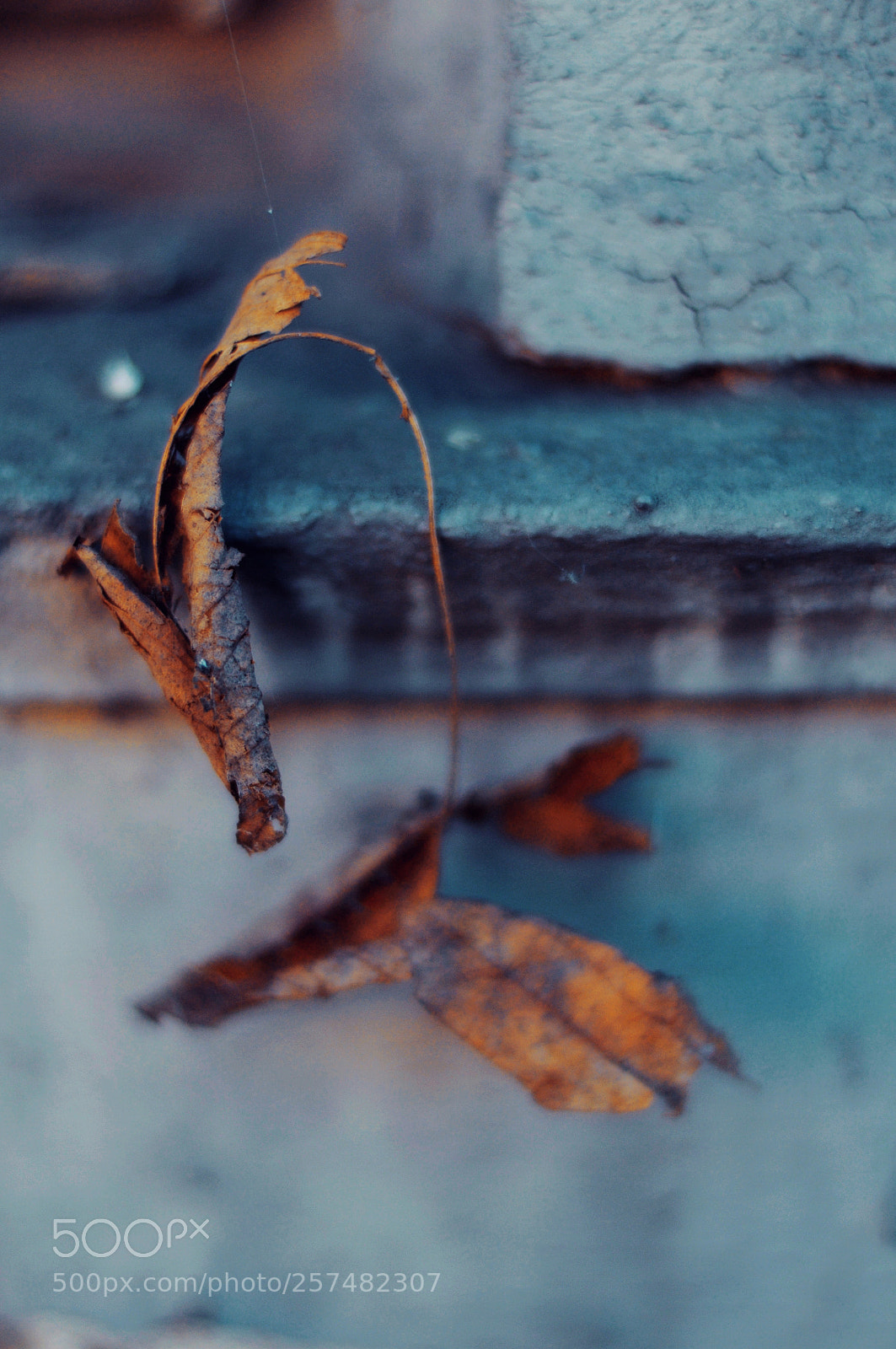 Nikon D300S sample photo. Untitled photography