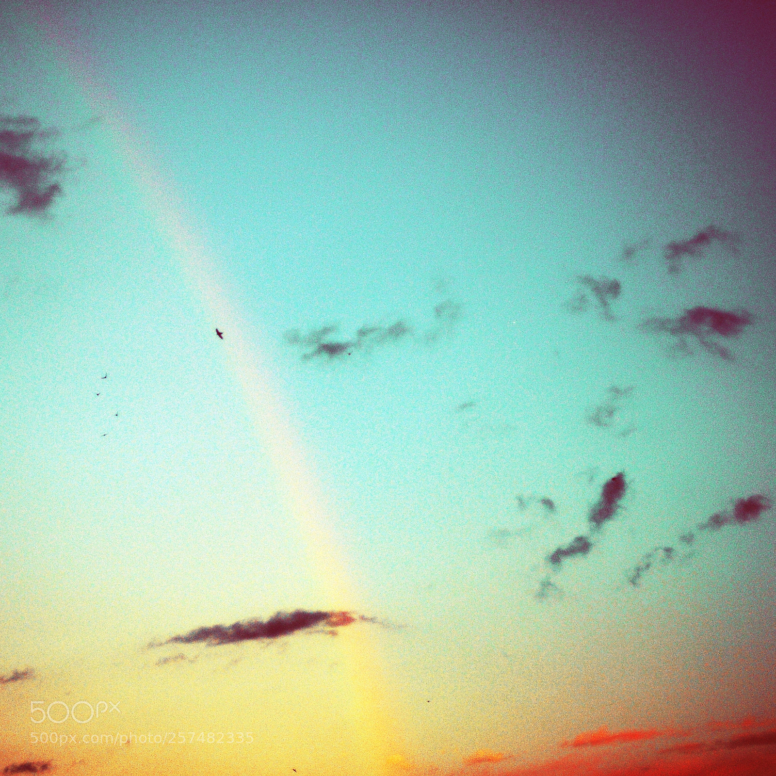 Nikon D300S sample photo. Untitled photography