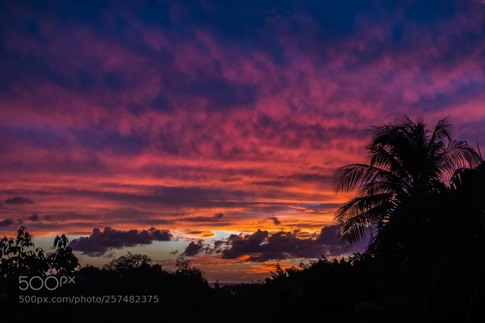 Nikon D500 sample photo. Caribbean sunset photography