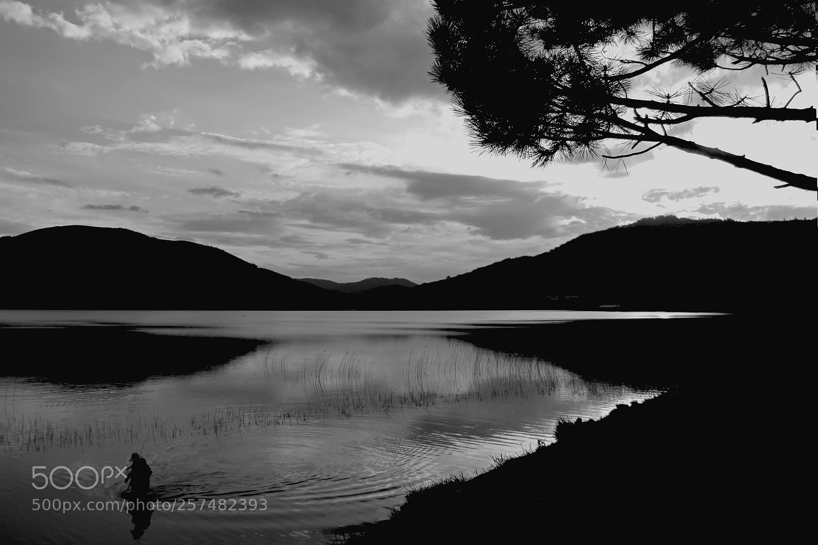 Canon EOS 60D sample photo. Fisherman b&w photography