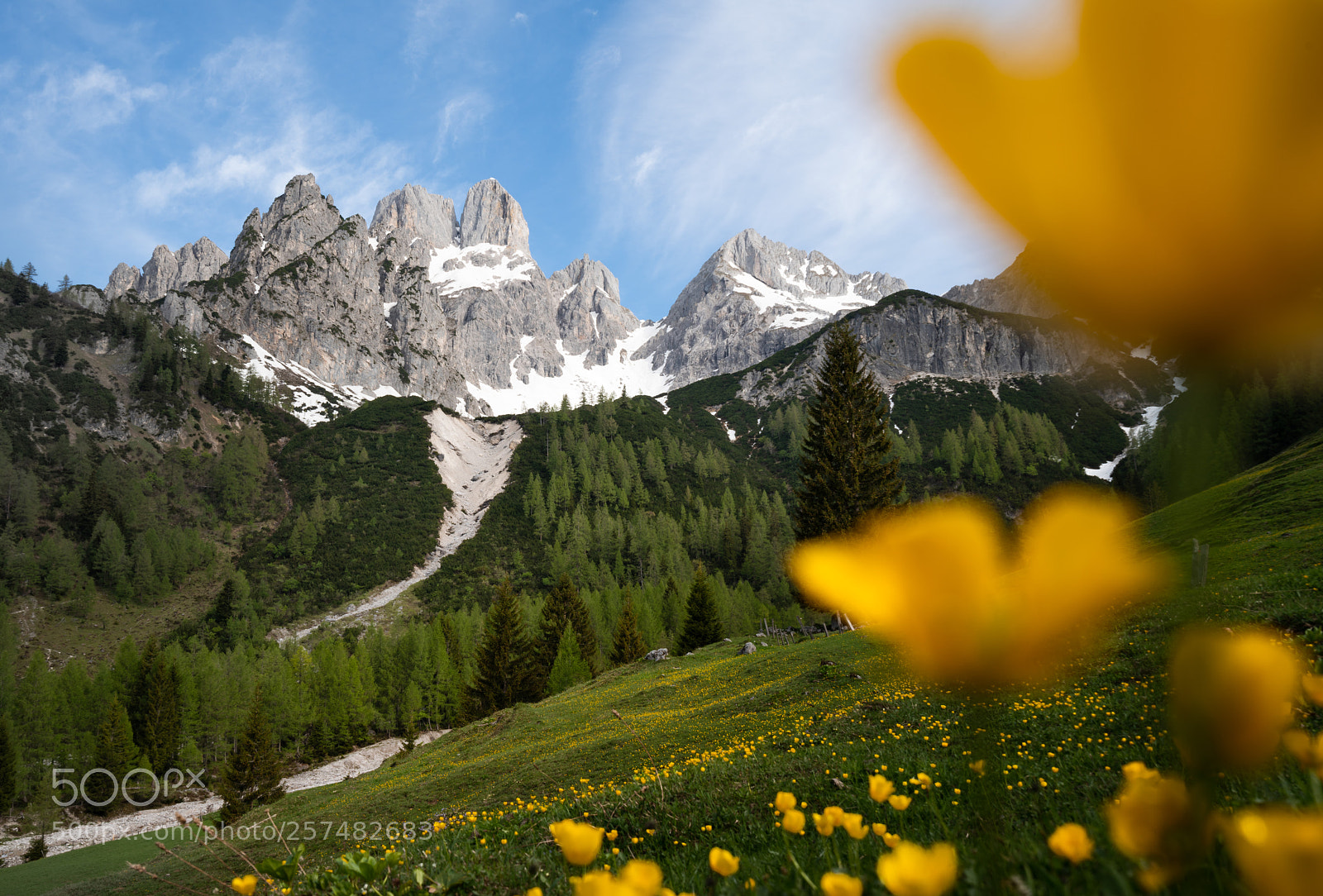 Sony a7R III sample photo. View on gro e photography