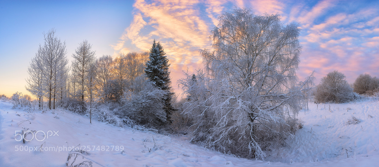 Nikon D610 sample photo. 920. winter in the photography