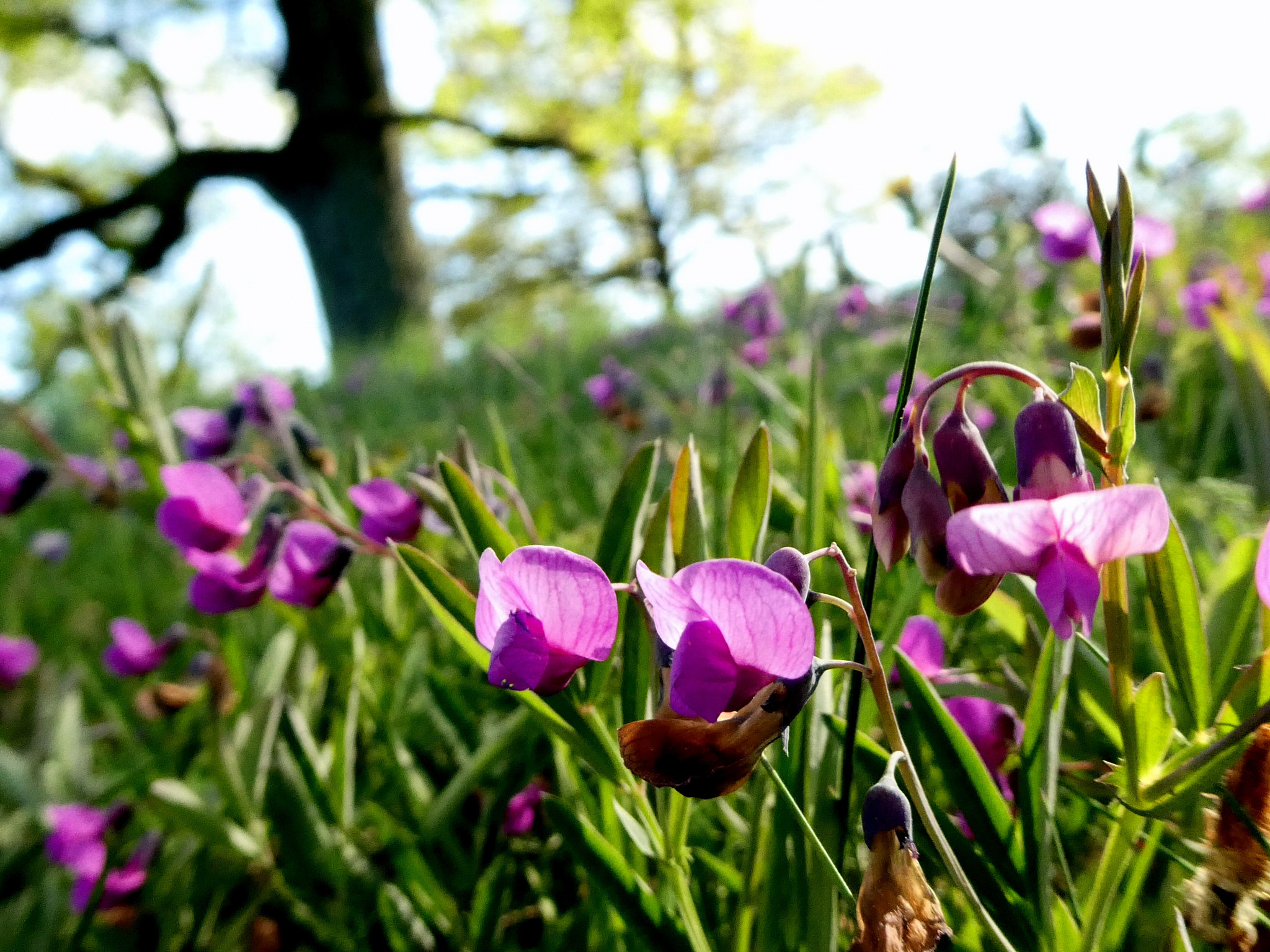 Panasonic DC-TZ91 sample photo